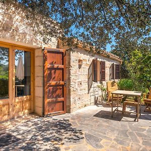 Hotel Sa Carrotja - Adults Only